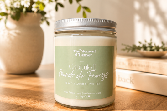 Capítulo II - Mundo de Faerys